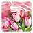 icon Pink Roses Live Wallpaper 3.5