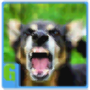 icon 3D Dog Survival