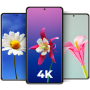 icon Flower Wallpapers