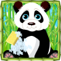 icon Panda Animal Care Games