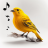 icon Bird Calls 14.0.1