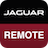 icon Remote R1.69