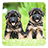 icon German Shepard Live Wallpaper 2.6