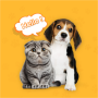icon Dog & Cat Translator Prank App para LG Stylo 3 Plus