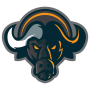 icon Buffalo Network