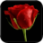 icon com.mamosoft.gulwallpaper 5.5.2