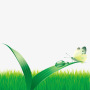 icon Grass Speed