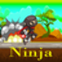 icon Boss Ninja