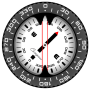 icon Compass PRO para Blackview BV8000 Pro