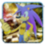 icon Fast Sonic