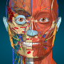 icon Anatomy Learning - 3D Anatomy para Samsung Galaxy Tab 3 V