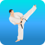 icon Karate Workout At Home para oppo R11 Plus