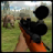 icon Bear Hunter 3D 1.6