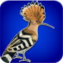 icon هدهد para Samsung Galaxy Note I717