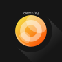 icon Camera FV-5 Lite