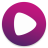 icon Wiseplay 8.3.1