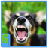 icon 3D Dog Survival 1.0