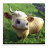 icon Baby Animal Farm 1.8