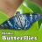 icon Hidden Butterflies 1.2