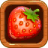 icon Fruit Forest 1.0