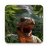 icon Cretaceous Dinosaurs 1.2.6