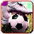 icon Crazy Football 2015 1.3