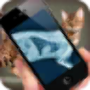 icon Simulation XRay Cat para tecno F2
