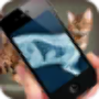 icon Simulation XRay Cat para Motorola Moto E5