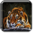 icon Tiger Live Wallpaper 1.7