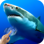 icon Sharks Underwater