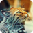 icon Photo Touch Art 7.2
