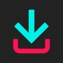 icon TikTok Downloader