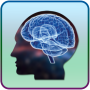 icon Brain Training