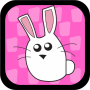icon Bunny Evolution