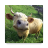 icon Baby Animal Farm 2.1
