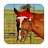 icon Tile Puzzles Horses 1.23.ho