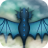 icon Angry Dragon 1.0.0