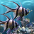 icon alpha.aquarium.hd.livewallpaper 2.31