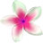 icon Flowers wallpaper 2.4.2