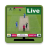 icon Cricket Live Tv 4.1.0