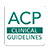 icon ACP Guidelines 3.0.4