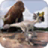 icon 3D Dinosaur Game For Kids 1.0.0