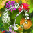 icon Flower Parade Clock Widget 1.3.1