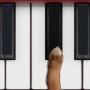 icon Dog Piano