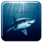 icon Shark Live Wallpaper para LG Harmony