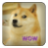 icon Doge Jump 1.7