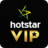 icon hostarVip 2