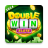 icon DoubleWin 1.94