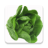 icon com.afrogfx.Foodfordiet 1.42