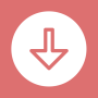icon Story Saver